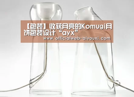 爱游戏官方入口