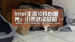 爱游戏体育全站