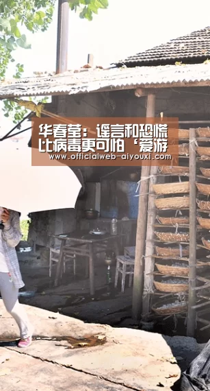 爱游戏体育全站
