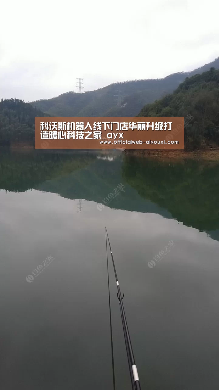 爱游戏体育全站