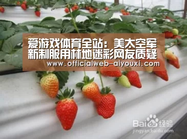 爱游戏体育全站